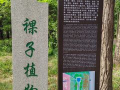-洛阳市隋唐城遗址植物园