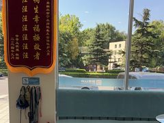 -德元·美联众合24小时动物医院(总院)