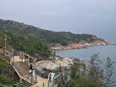 -广东惠东海龟国家级自然保护区