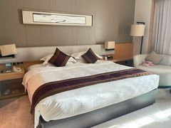 -河源万绿湖美思威尔顿酒店