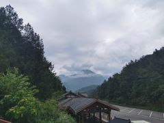 -武陵山森林公园