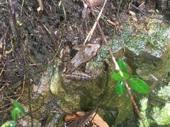 -宁波五龙潭景区