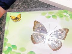 -上海昆虫博物馆