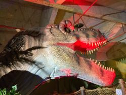 -恐龙探索乐园(磁器口店)