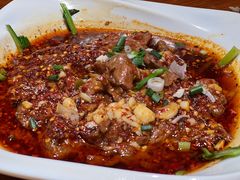 -柴窝堡22号辣子鸡·传承新疆菜