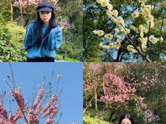 -南山植物园