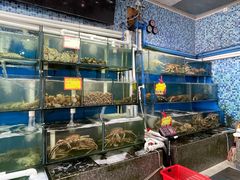 水产区-蚝专家(北滘店)
