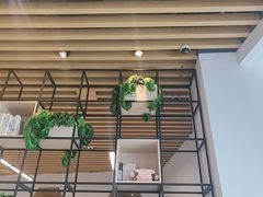 -金陵图书馆
