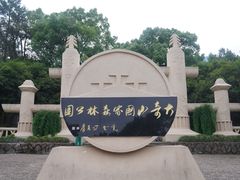 -大奇山国家森林公园