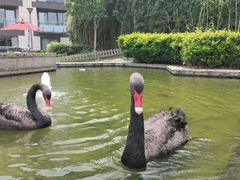 -南京圣和府邸豪华精选酒店