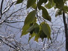 -萍乡武功山风景名胜区