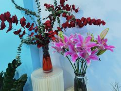 -斐尔国际皮肤管理中心