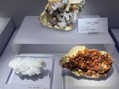 -湖南省地质博物馆