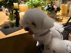 -Ameigo梅果·云贵川bistro(长宁来福士店)