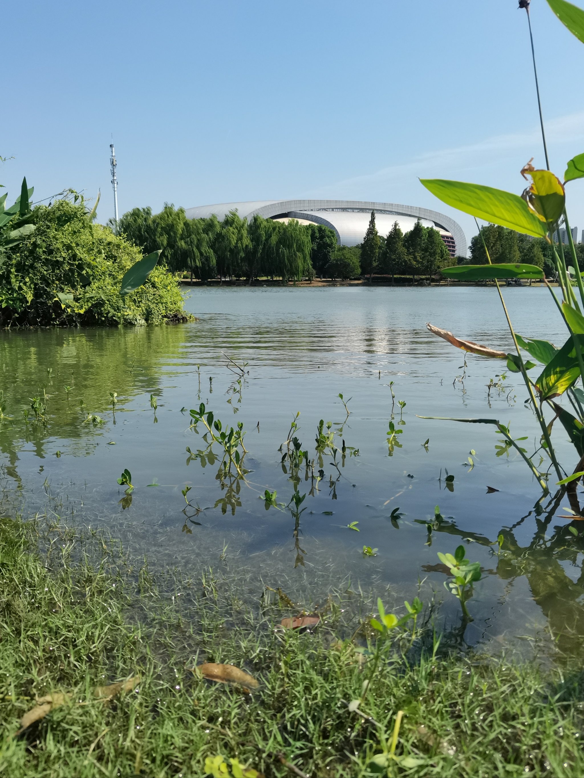 苏州消夏湾湿地公园图片