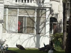 -J Create城市露营咖啡·简餐·宠物(上海动物园店)