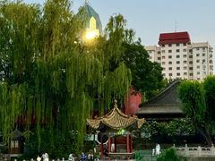 -文瀛公园