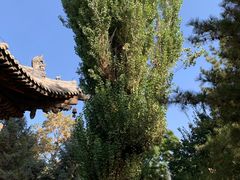 -张掖大佛寺景区