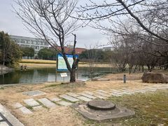 -同济大学(嘉定校区)