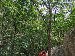 -大岭沟猕猴桃谷风景区