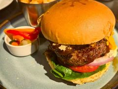 -bluefrog蓝蛙(水游城店)