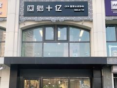 -猫十亿·布偶金渐层·曼基康矮脚猫舍(青年路店)