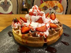 -more than meow吴止猫主题餐厅(承德 中船汇店)