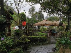 -青城甲(青城山店)