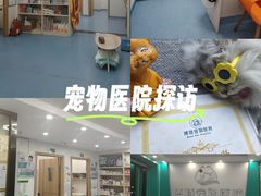 -博特宠物医院24h犬猫全科.骨科·异宠