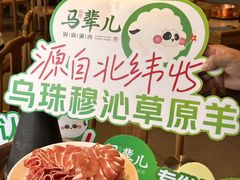 -牛街·马辈儿涮肉(牛街总店)