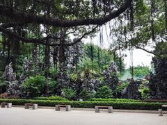 -广东圆玄道观