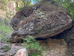 -黑龙潭风景区