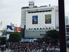 -涩谷区