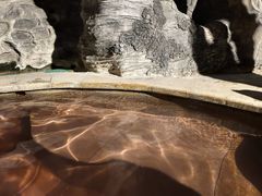 -郑州银基黄帝宫御温泉