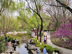 -西安青龙寺遗址景区