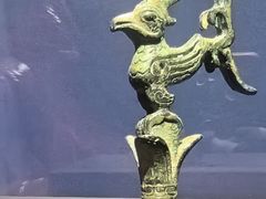 -遇见博物馆(遇见海洋沉浸式奇幻光影展)