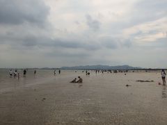 -刘家湾赶海园