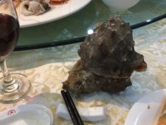 海螺-丽苑大酒店