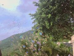 -渔·海鲜餐厅（东澳可域度假村内）南沙湾沙滩店