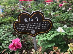-洛阳市隋唐城遗址植物园