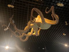-天津自然博物馆