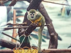 -西安秦岭野生动物园