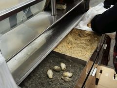 -叶氏麻糍(鼓浪屿店)