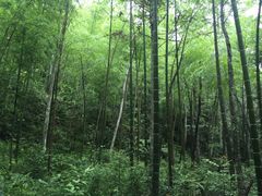 -井冈山风景名胜区