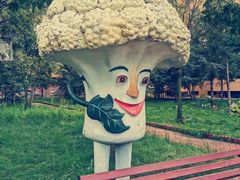 -青峰峡国家森林公园