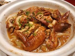 砂锅炖鸡-海鲜城大家餐厅