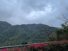 -梧桐山风景名胜区