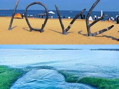 -巧克力渔家.小船海鲜胶东菜(万平口店)