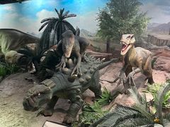 -国家自然博物馆