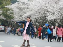 -武汉大学-樱园